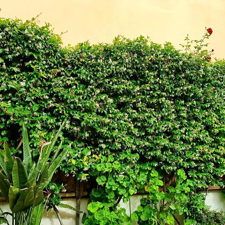 Διαμέρισμα Daglas Summer House