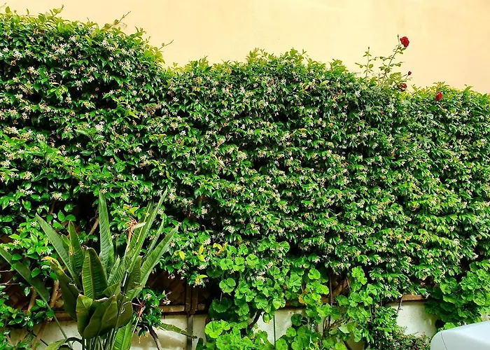 Διαμέρισμα Daglas Summer House