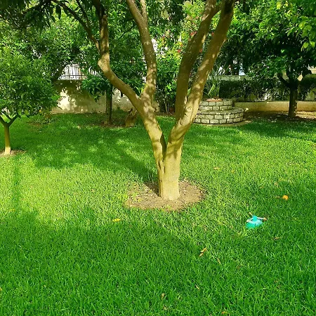 Apartament Daglas Summer House *